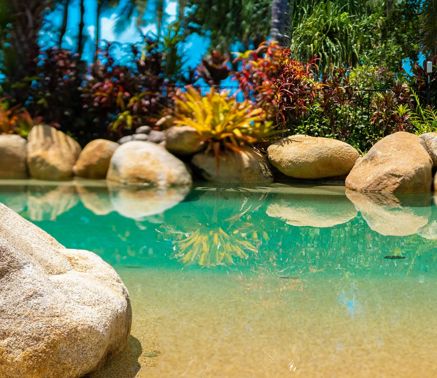 Melaleuca Resort pool with rocks and gardens and reflection of the plants in the crystal clear pool