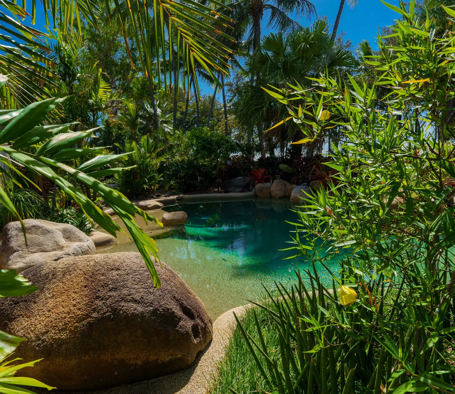 peaking through the gardens at Melaleuca Resort to see the pool
